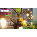 SLT-196 Rainproof Holiday Wedding Indoor Christmas Decoration RGB LED String Lights